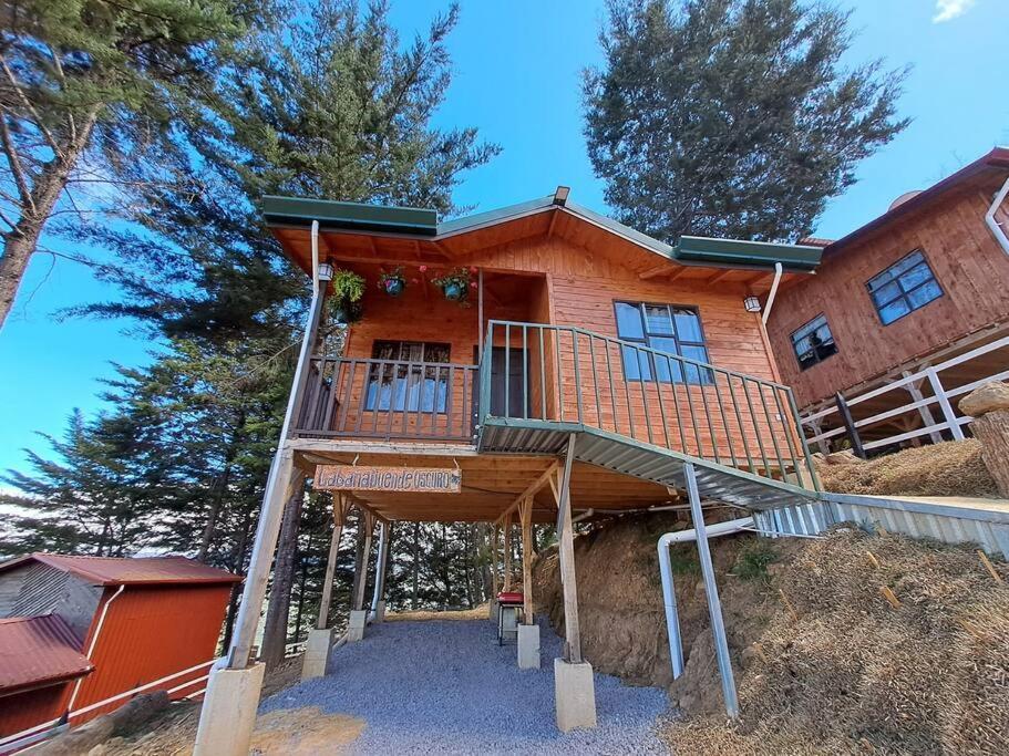 Cabana Duende Oscuro - Paradise In The Mountains! San Pablo  Exterior foto